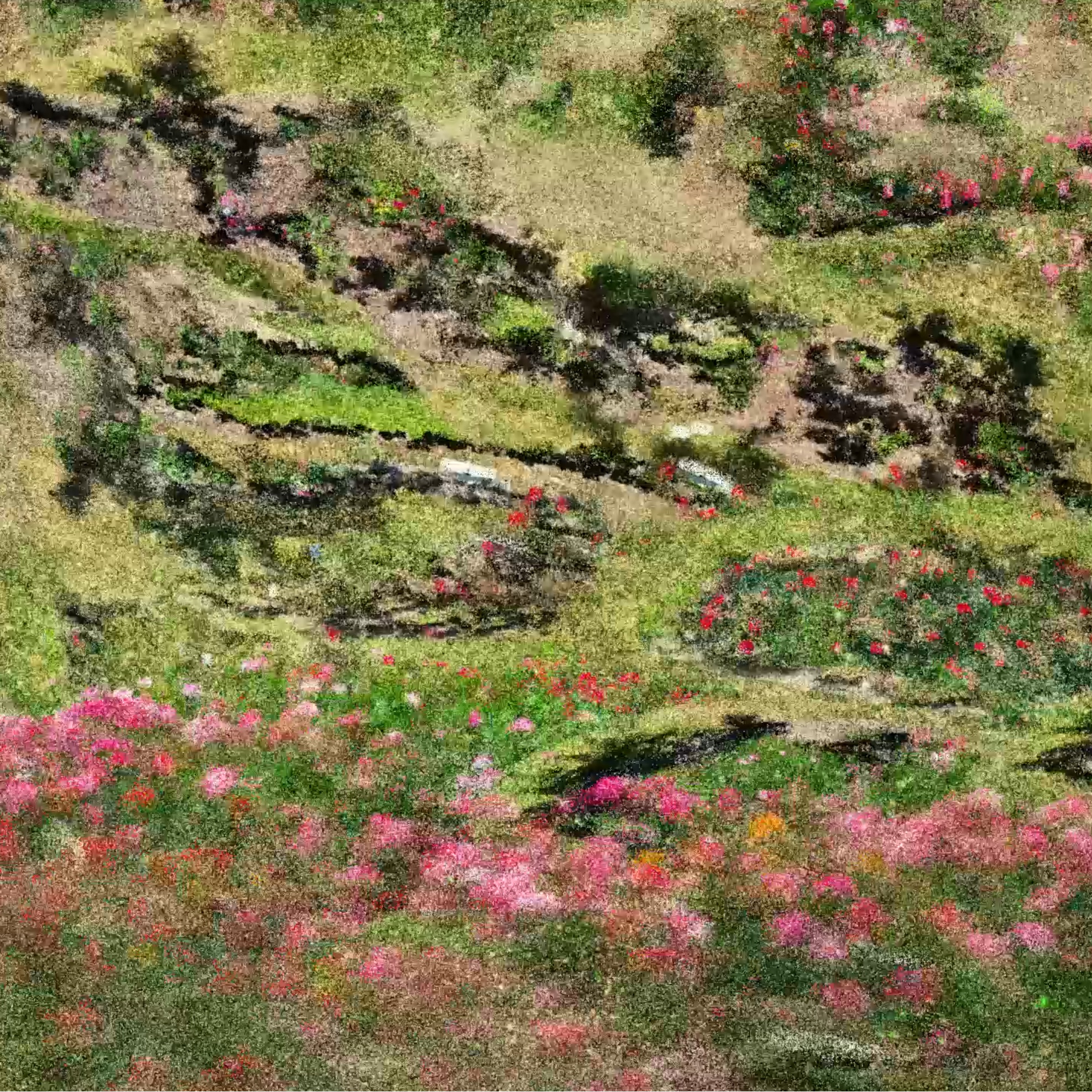 Artwork by Mathieu DeBlois, image 1