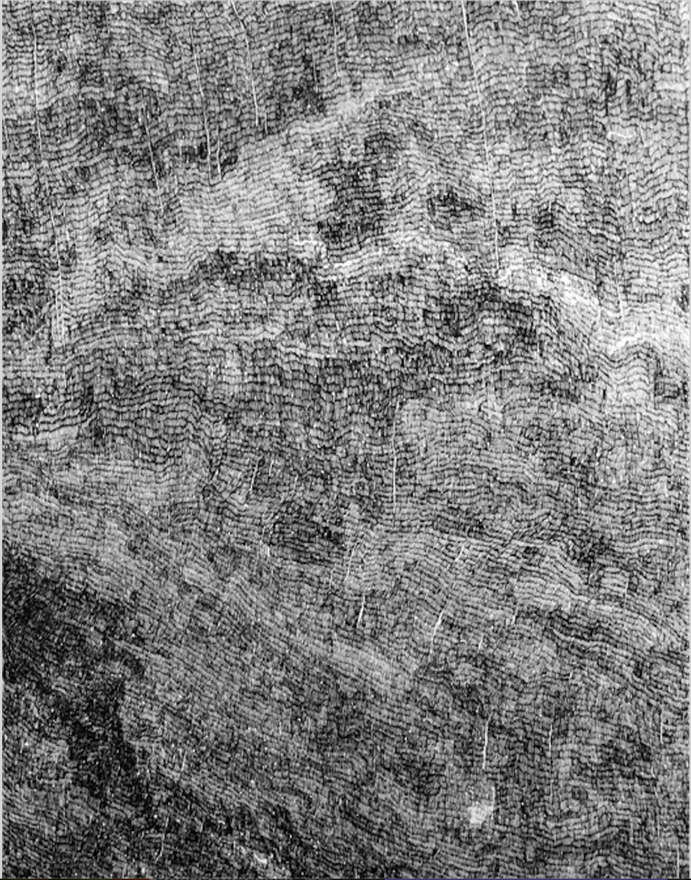 Artwork by Charlotte Gosselin, image 1