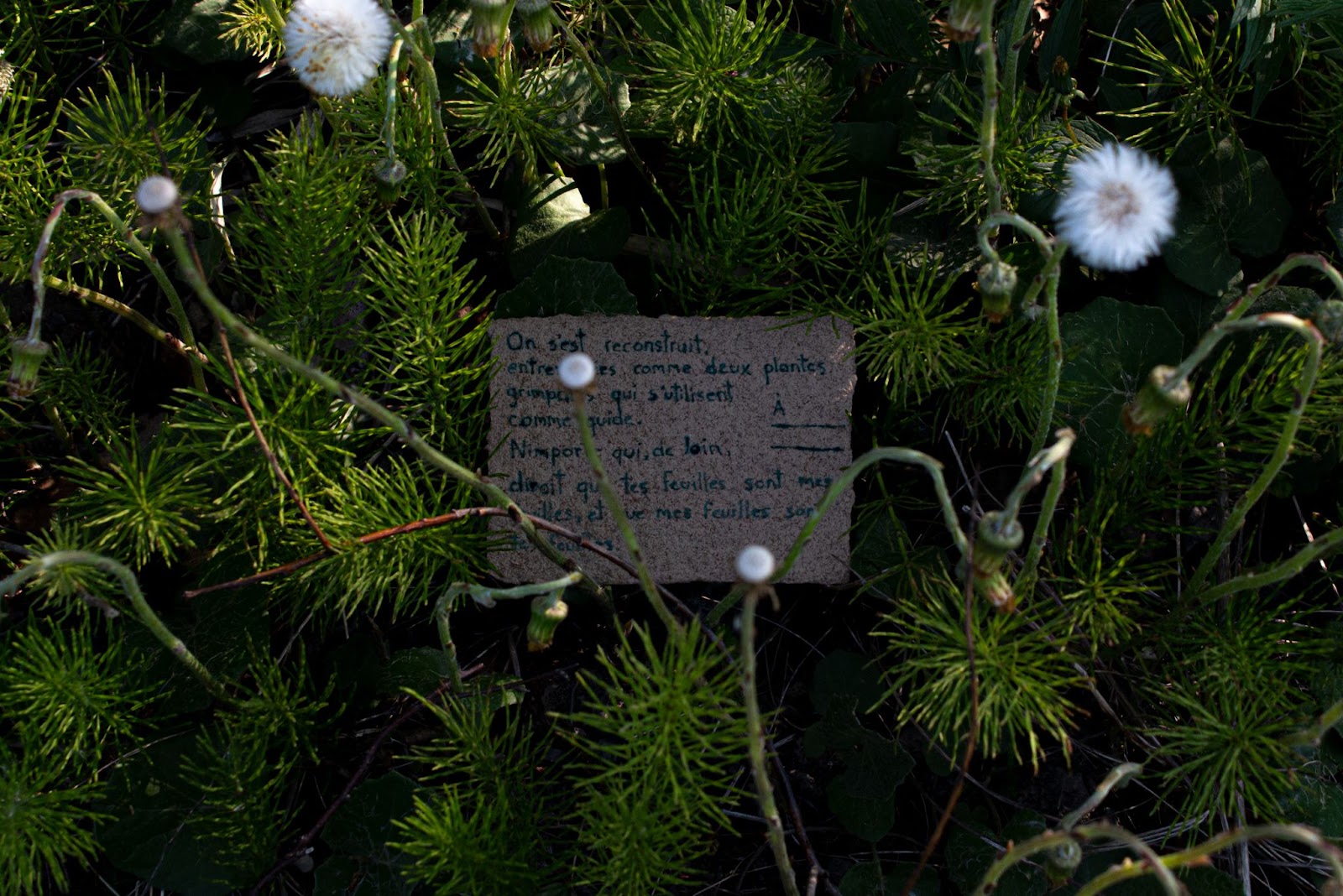 Artwork by Eugénie Gaultier Boucher, image 1