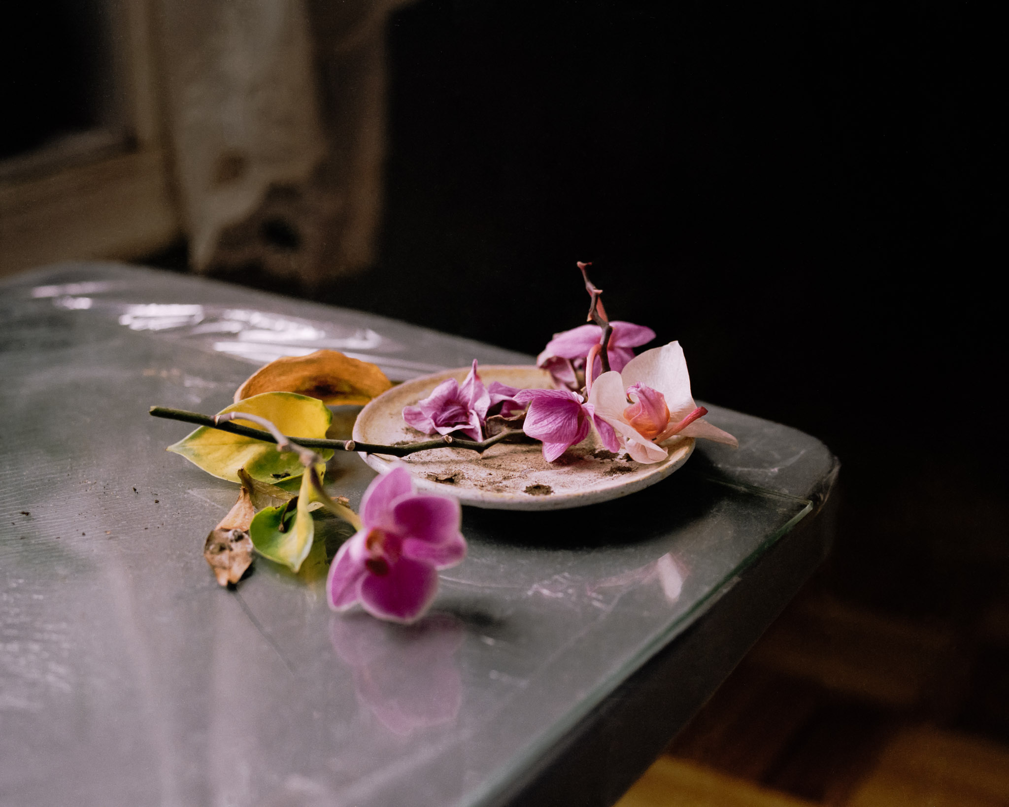 Artwork by Quang Hai Nguyen, image 1