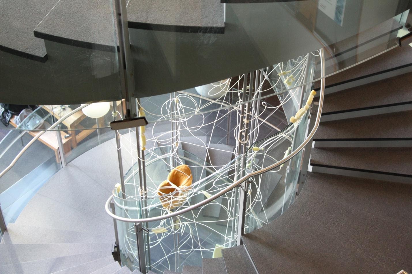 A picture containing indoorDescription automatically generated