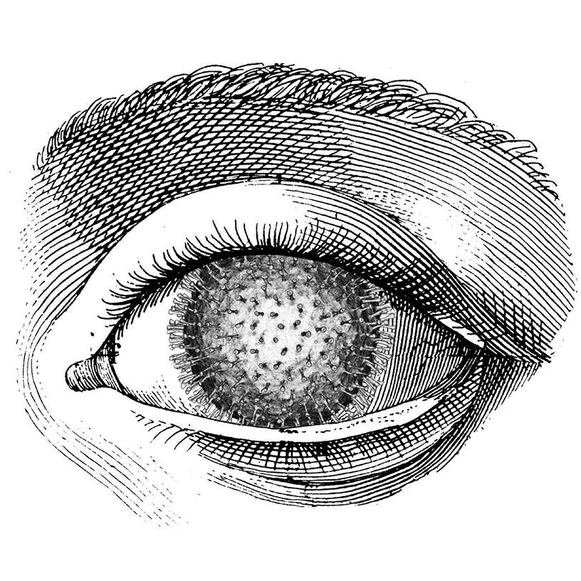 Artwork by Emmanuel Laflamme, image 1