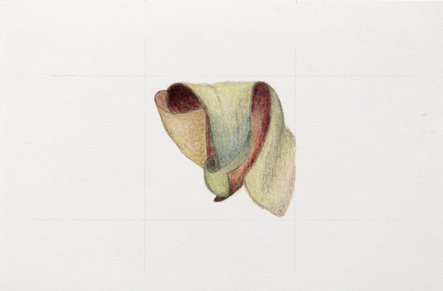 Artwork by Florencia Sosa Rey, image 1