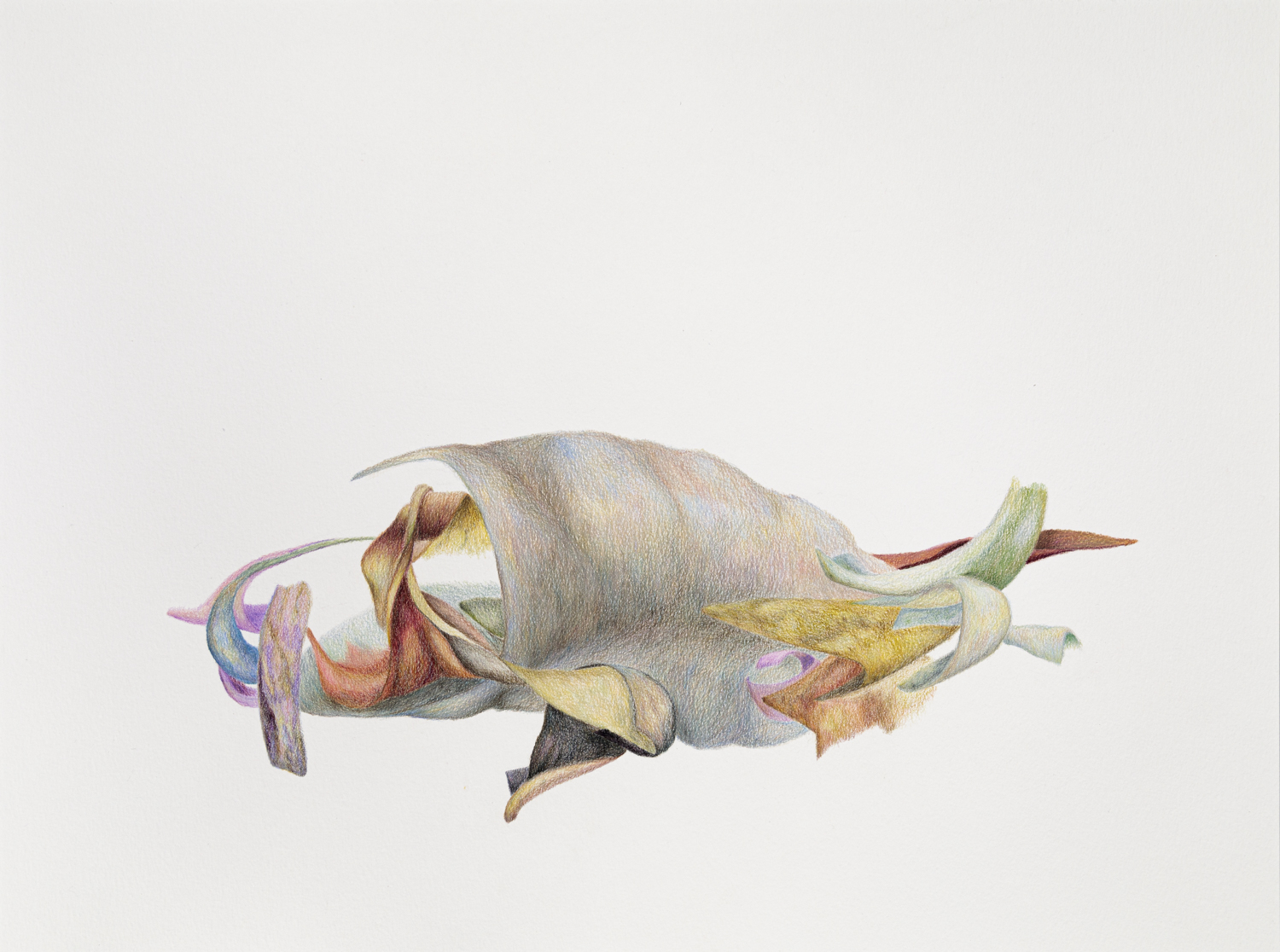 Artwork by Florencia Sosa Rey, image 1